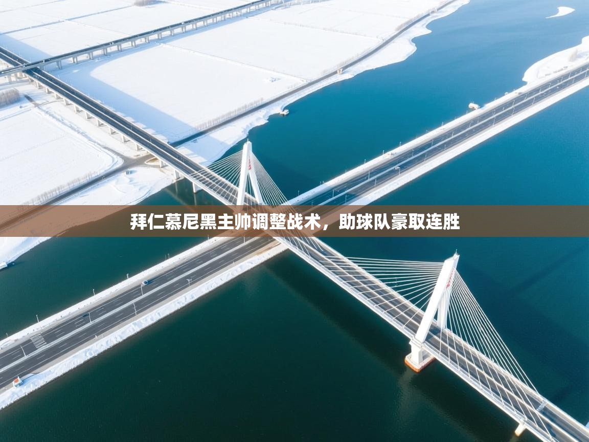 拜仁慕尼黑主帅调整战术,助球队豪取连胜 第2张