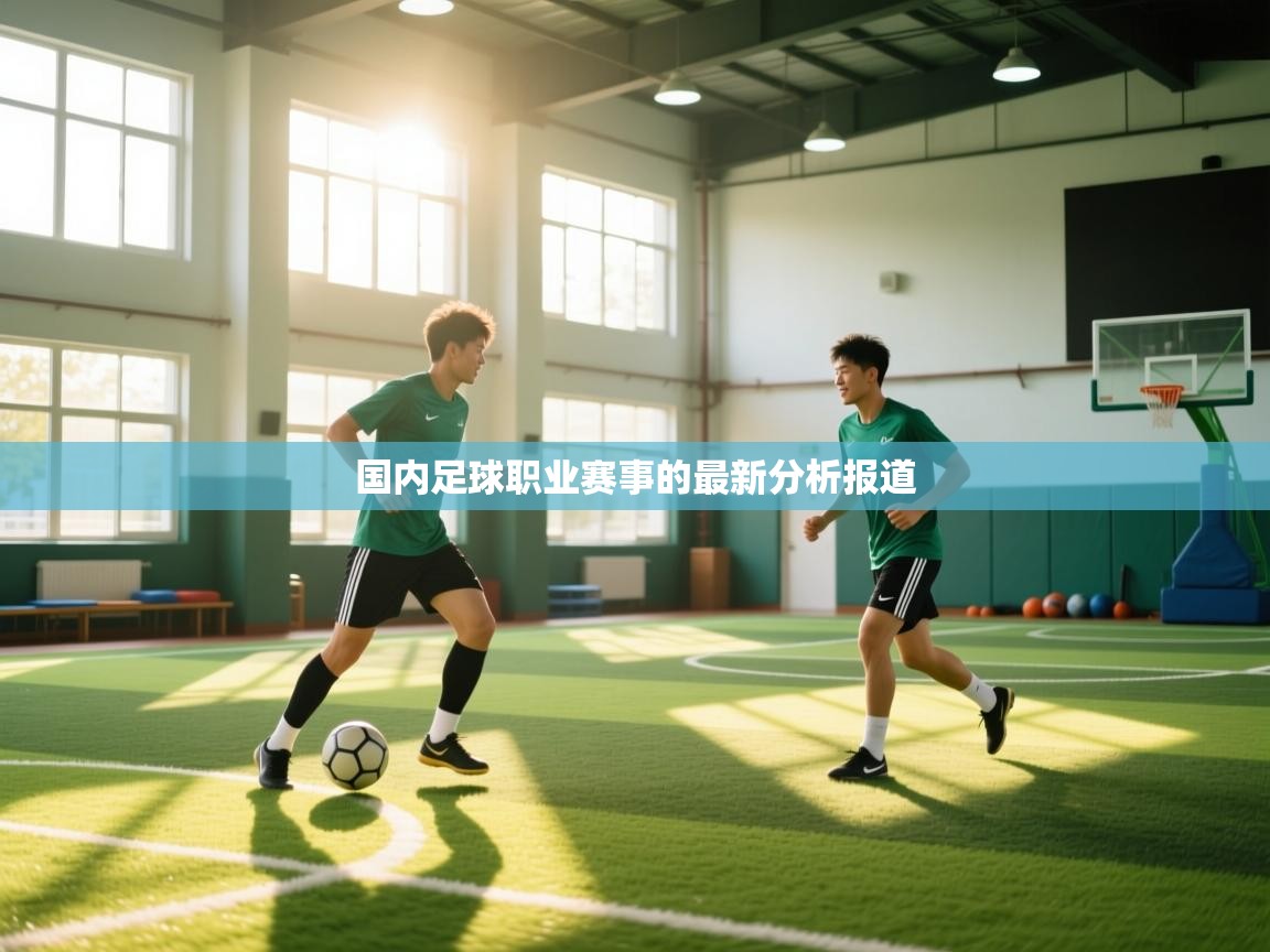 国内足球职业赛事的最新分析报道