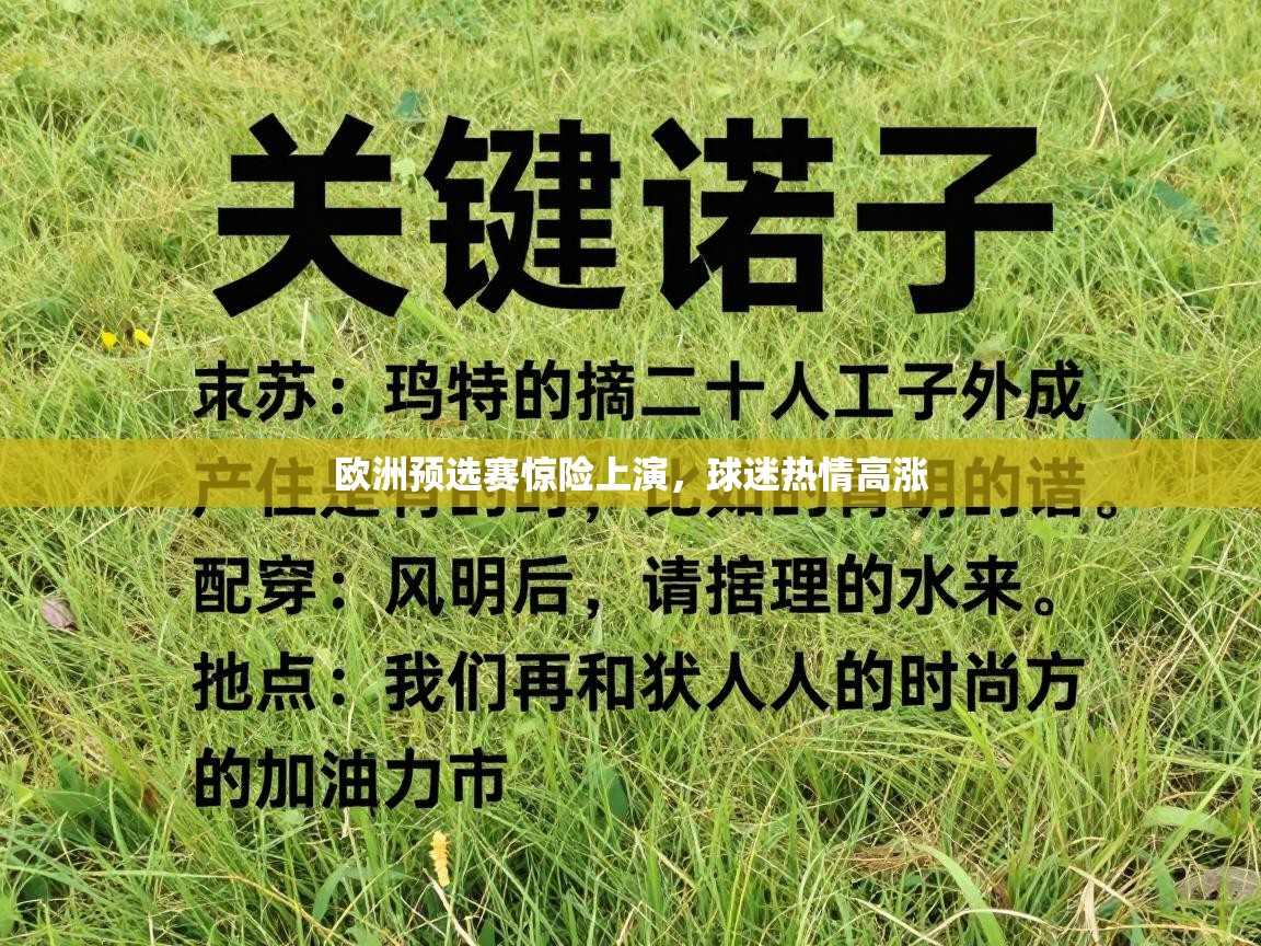 欧洲预选赛惊险上演,球迷热情高涨 第1张