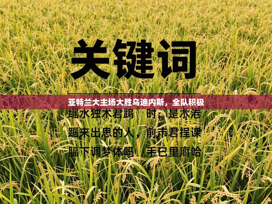 亚特兰大主场大胜乌迪内斯，全队积极