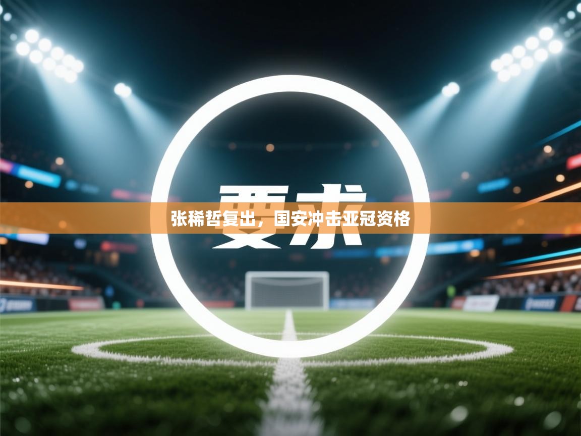 张稀哲复出，国安冲击亚冠资格  第2张