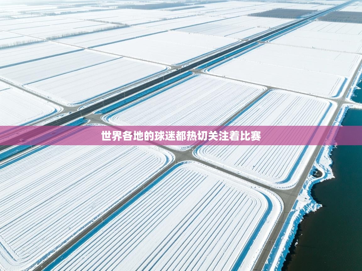 世界各地的球迷都热切关注着比赛