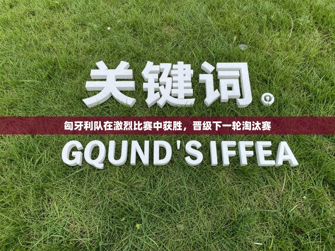 匈牙利队在激烈比赛中获胜,晋级下一轮淘汰赛 第1张